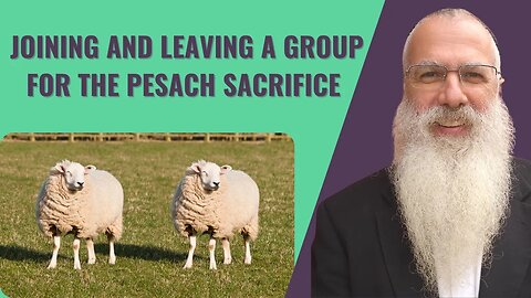 Mishna Pesachim Chapter 8 Mishnah 3. Joining and leaving a group for the Pesach sacrifice