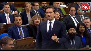All the Answers to Question Period with David Krayden