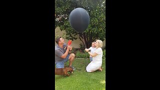 Gender Reveal Balloon Fail