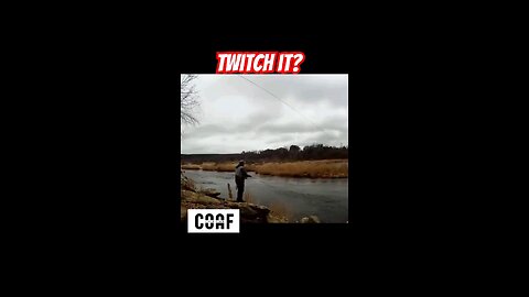 Twitch It To Get Trout To Strike! #fishing #flyfishing #trout