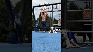 Workout and Nero supervising #shortvideo #amstaff #amstafflove #viral #icecube #song #amstaffworld