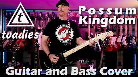 Toadies - Possum Kingdom | Guitar and Bass Cover #guitarcover #basscover