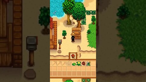 When you play a vanilla Stardew Valley farm