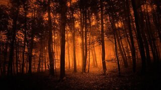 Relaxing Spooky Twilight Music - Embershade Woods ★756 | Dark, Autumn