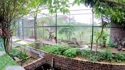 create a small aviary garden