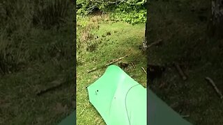 Riverside wildcamping Dartmoor 28th May 2021