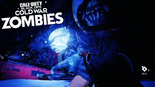 First time playing Black Ops Cold War Zombies