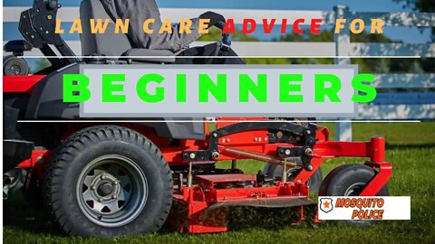 Lawn care advice for beginners