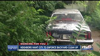 Neighbors want city to enforce backyard cleanup