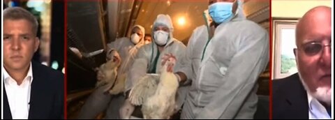 More Bird Flu Deception - Time To Find The Appropriate Neck Tie For These Criminals