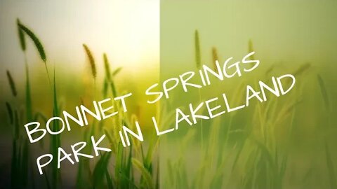 Bonnet Springs Park in Lakeland, FL #bonnetspringspark #lakeland #florida