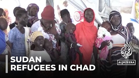 Sudan conflict: Refugees in Chad at risk of starvation