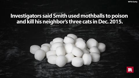 Man pleads guilty to using mothballs to kill neighbor's cats | Rare News