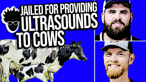 Pennsylvania Men IMPRISONED for Providing Ultrasounds to Cows "Without Vet License" Viva Frei Vlawg