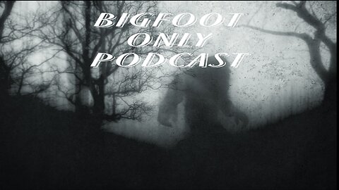 Paranormal podcasting. We're talking Bigfoot evidence on this podcast.