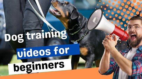 Dog training videos for beginners | New dog owner training + Where to start dog training!