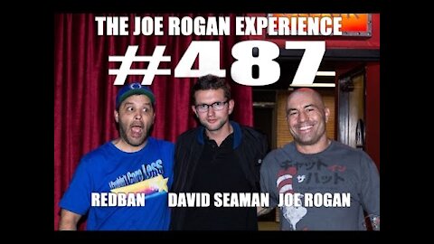 Joe Rogan Experience #487 - David Seaman`