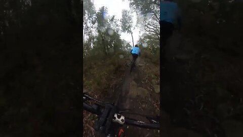 Mountain Bike - Singletrack do pinhal 1