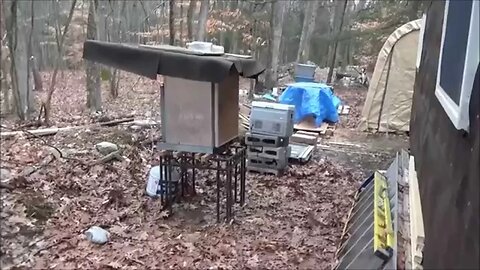 Happy Homestead Chickens And Building Tiny House Closet