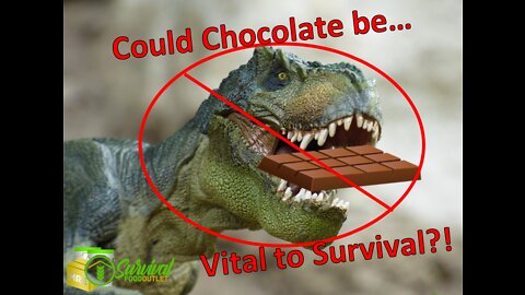Ensure Survival w/ Chocolate -Original Survival Food Supply