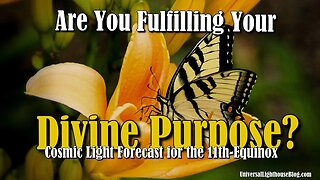 Are You Fulfilling Your Divine Purpose? ~ Cosmic Light Forecast for the 11th Equinox