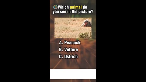 Quiz about animal.