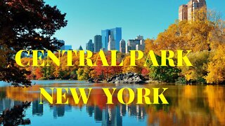 The Central Park New York 2022