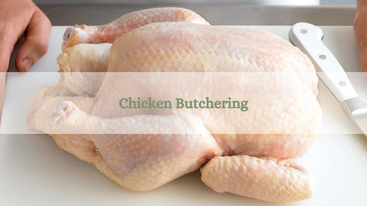 Butchering Freedom Ranger Broiler Chickens