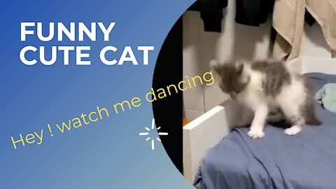 Funny Cute Dancing Cat