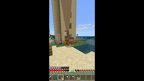 Llama train in Minecraft
