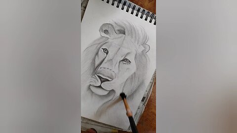 Amazing drawing of the king of jungle