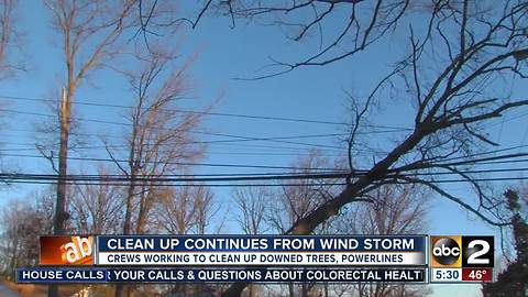 Tree falls on powerlines in Parkville leaving neighbors frustrated