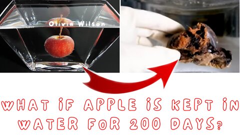 What if Apple is kept in water for 200 days?