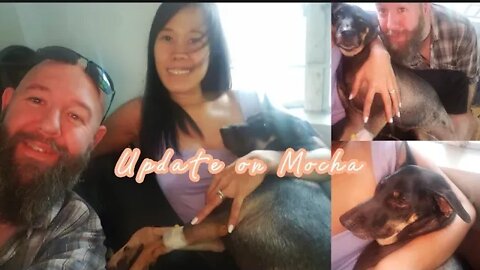 We Visited Our Dog(Mocha)| Never Heard Mocha Cried Like This Before💔