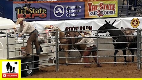 Trailer Loading - 2022 Coors Cowboy Club Ranch Rodeo | Saturday