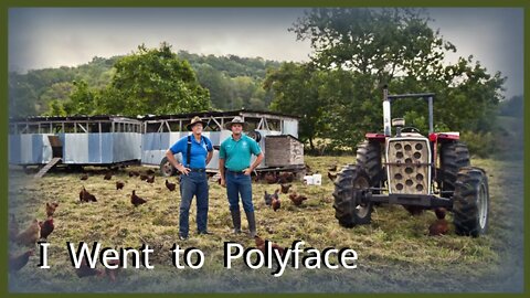 I Went to Polyface Farm to Attend The Rogue Food Conference: Farm Tour and Rogue Food Recap.