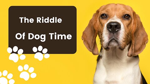 The Riddle Of Dog Time: Unraveling the Mystery of Their Short Lives #doglife #dog #dogcare