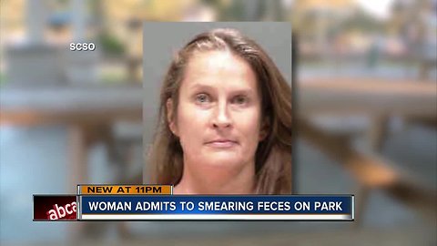 Sarasota County substitute teacher arrested for pouring fecal matter on park benches