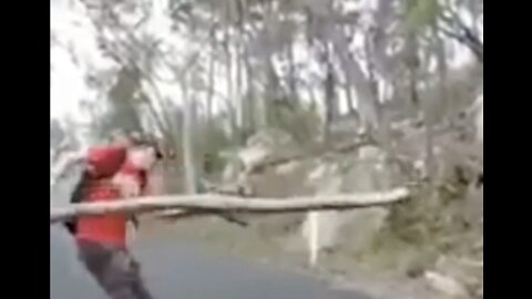 Man Knocks Himself Out With Large Tree Branch