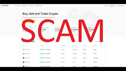 Bitpixo.com and its sister sites are SCAM exchanges!