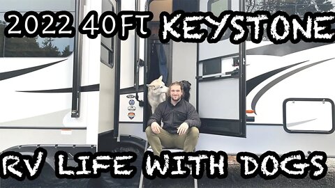 RVLIFE WITH DOGS - Finding a HEALTHY ROUTINE