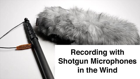 Recording with Shotgun Microphones in the Wind: Wind Cover and Boom