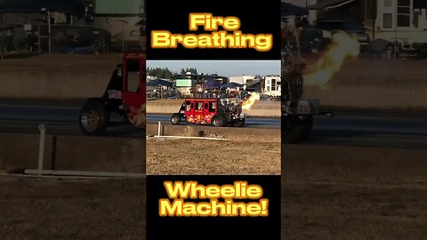 Fire Breathing Wheelstander Cruising the Dragstrip #shorts