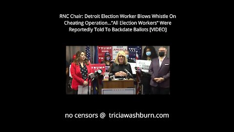 RNC MICHIGAN VOTER FRAUD