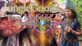 Experience True Transformation at JungleGnosis Plant Medicine Retreat