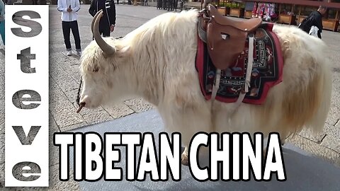 A GLIMPSE AT SHANGRI-LA - Tibetan China 🇨🇳