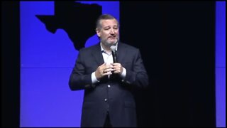 Sen Cruz: You Know America Is In Crisis When Antifa Can't Afford Bricks
