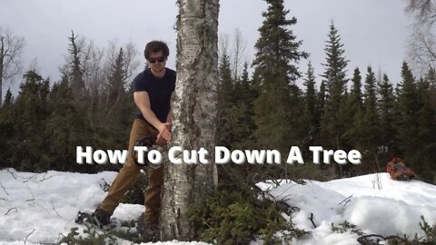 How to Cut Down a Tree