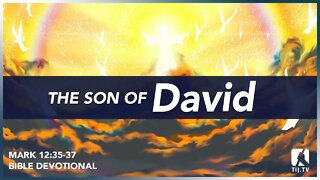 114. The Son of David - Mark 12:35-37
