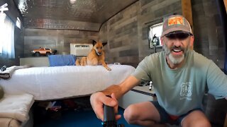 My 1971 Yellowstone Camper Tour - COMPLETELY GUTTED - Sierra Loves It!!